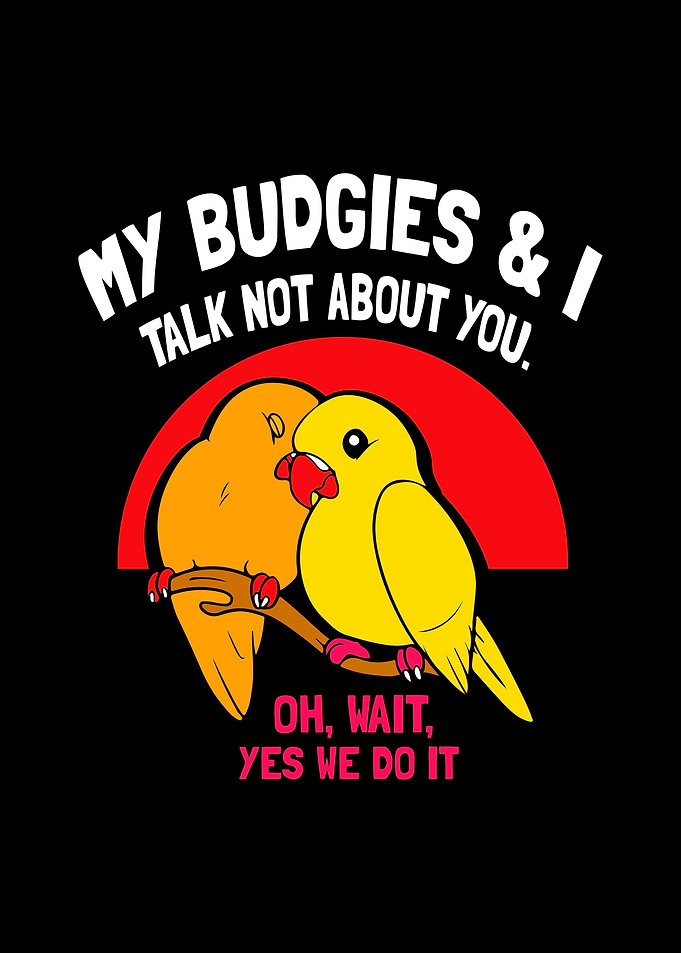 Budgie Budgeriga