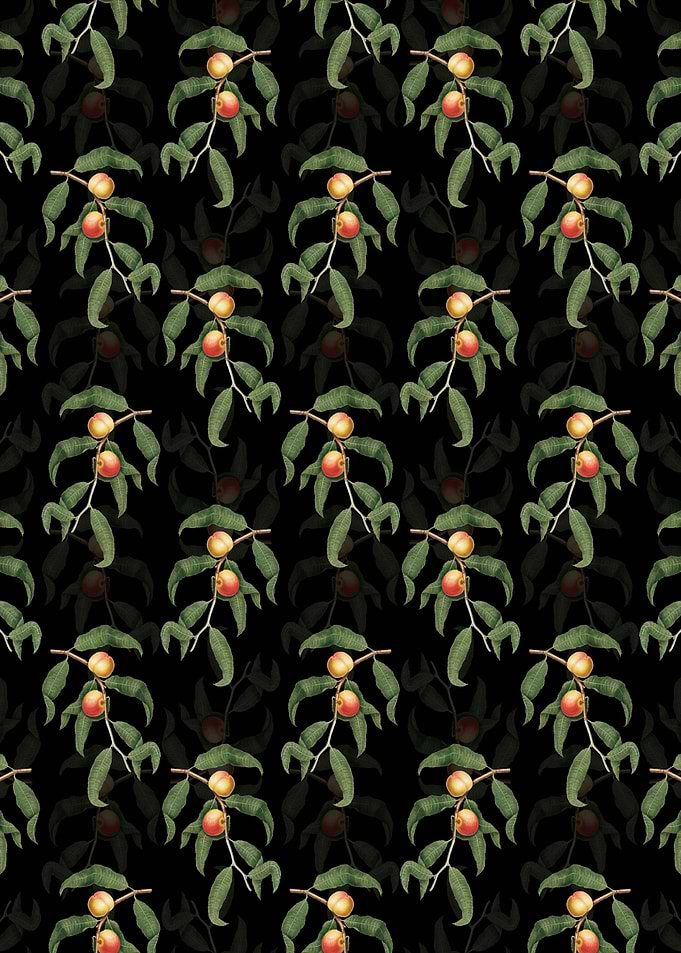 Black Floral Peach Pattern
