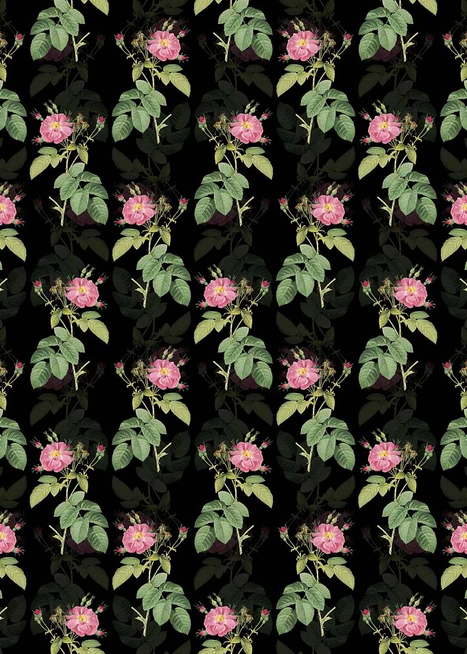 Harsh Downy Rose Pattern