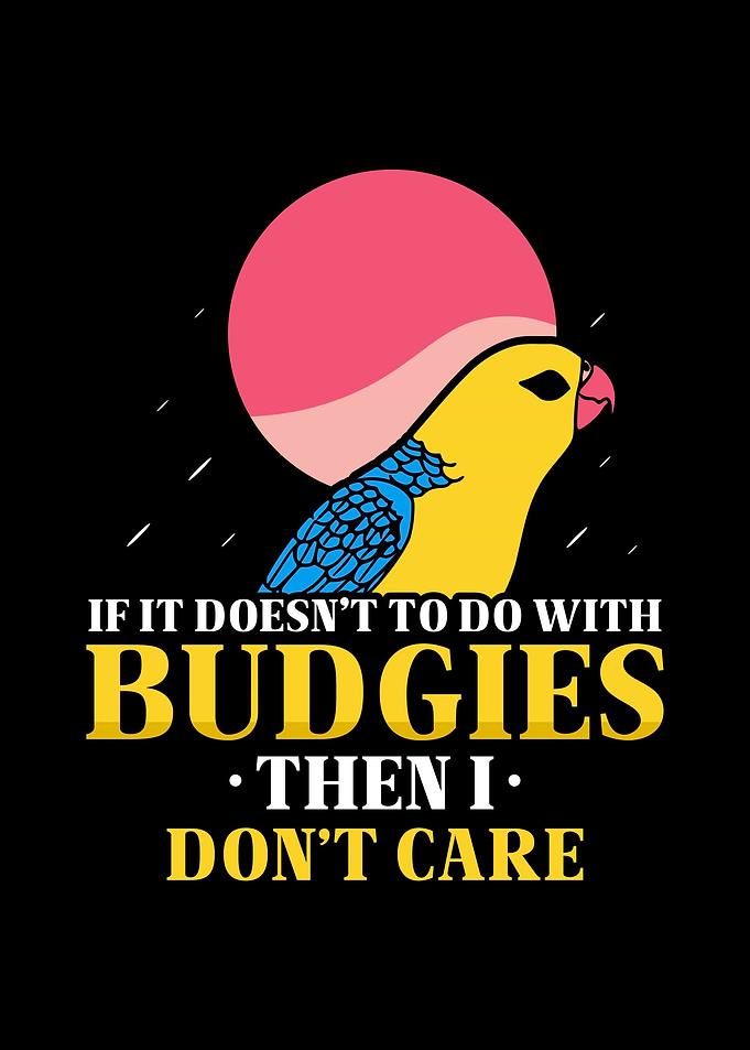 Budgie Budgeriga