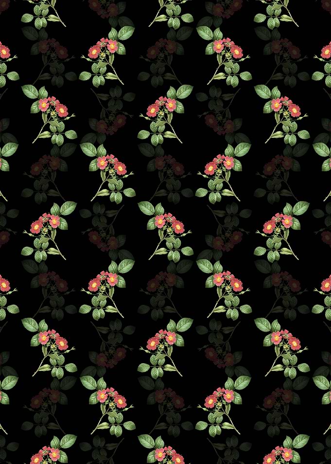 Black Redleaf Rose Pattern