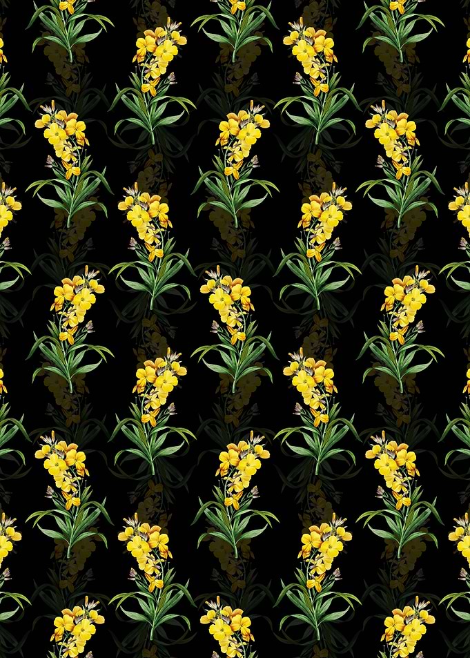 Cheiranthus Flower Pattern