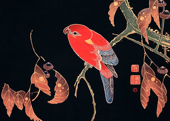 Red Parrot on the Branch
