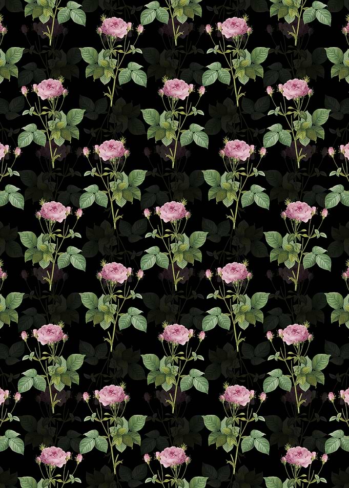 Pink French Roses Pattern