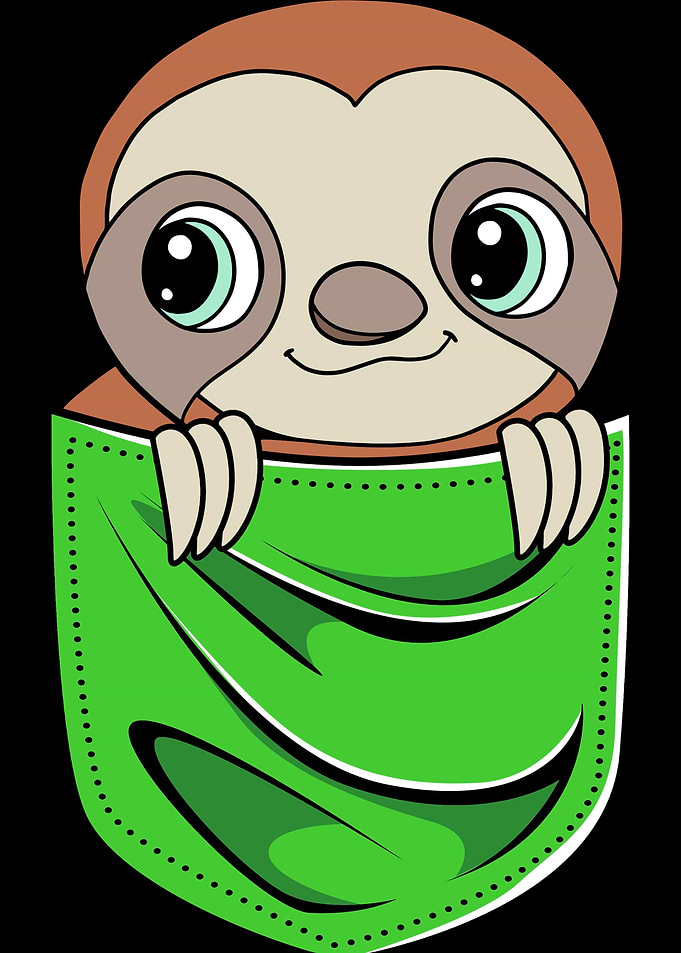 Sloth In Pocket
