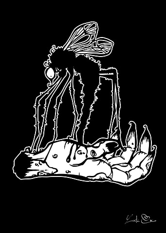 Mosquito Creepy bug
