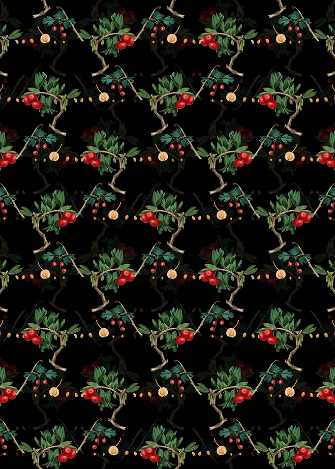 Red Thorn Apple Pattern