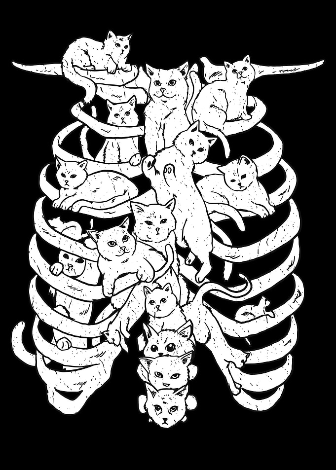 Funny Cats at Rips