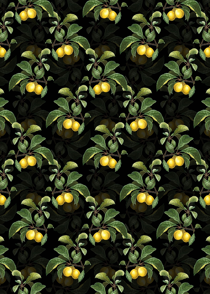 Ripe Plums on a Branch