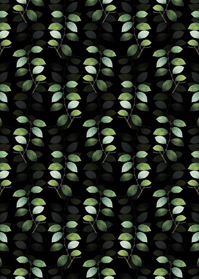 Black Eared Willow Pattern