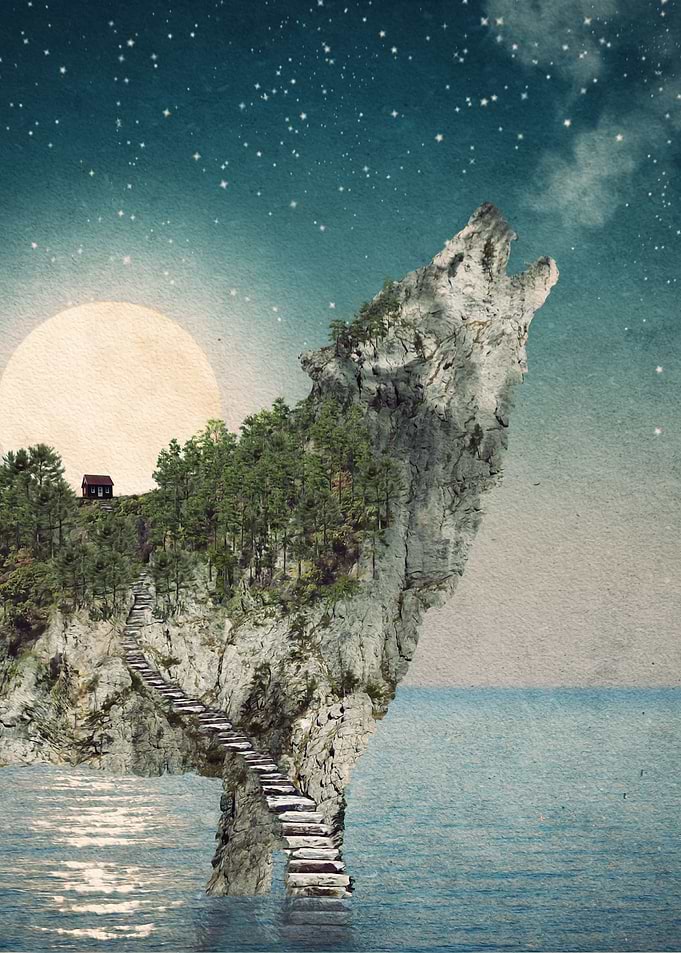 Wolf Island