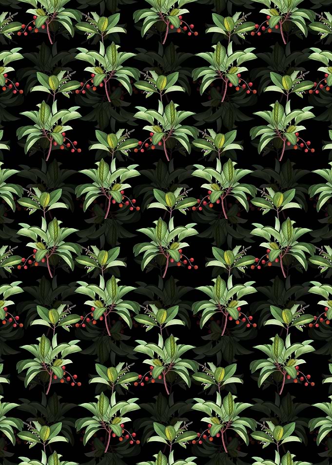 Greek Strawberry Tree