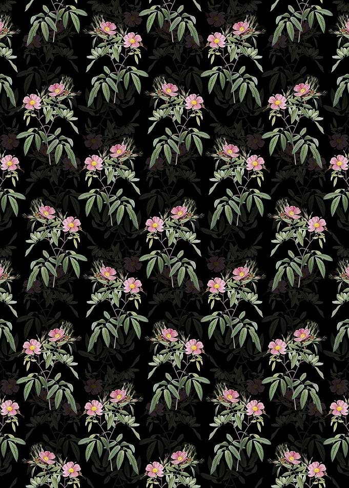 Pink Swamp Roses Pattern