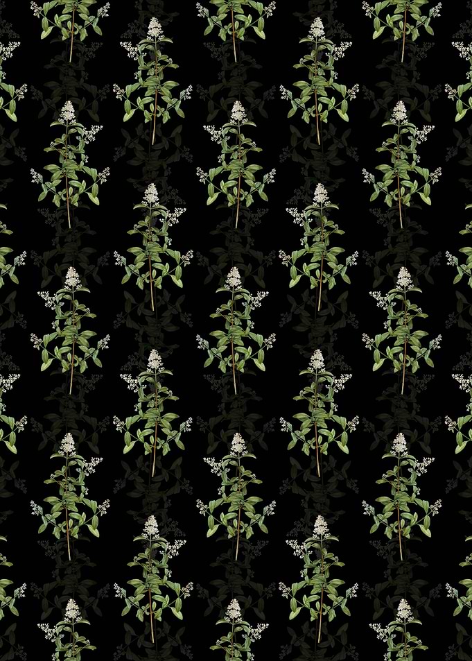 Floral Wild Privet Pattern