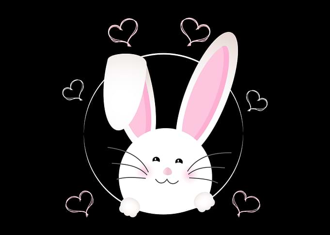 Bunny Girls Women Rabbit