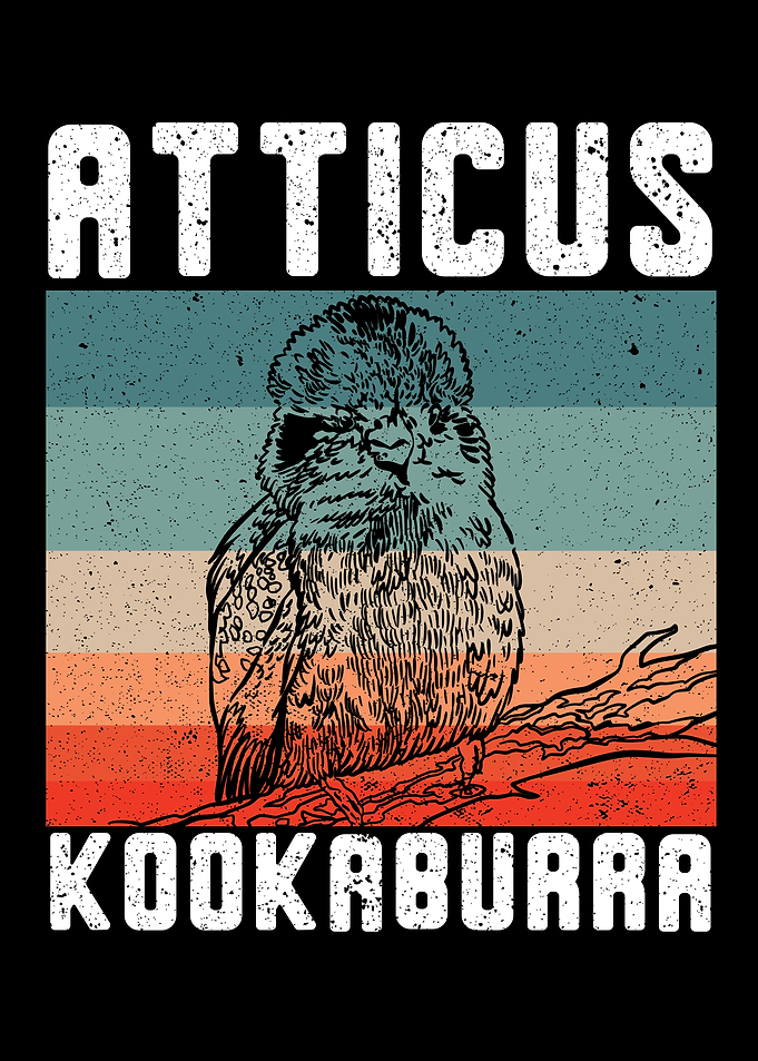 Atticus Kookaburra