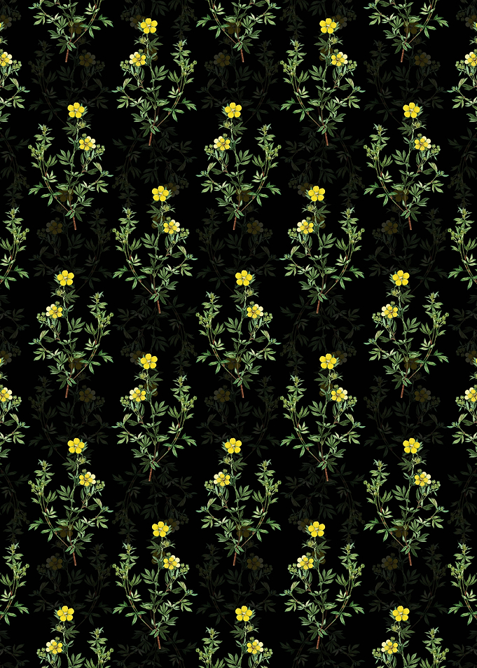 Yellow Buttercup Pattern