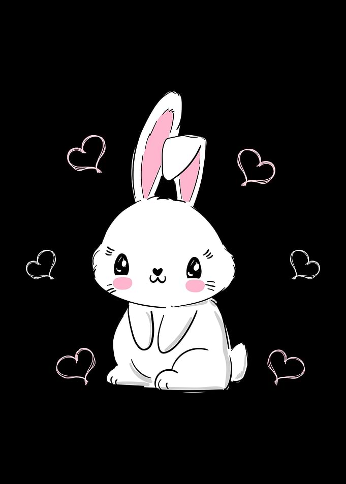 Bunny Girls Women Rabbit