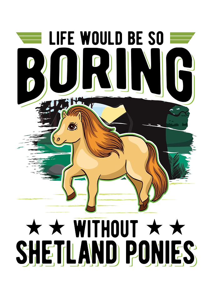 Shetland Pony Shetty