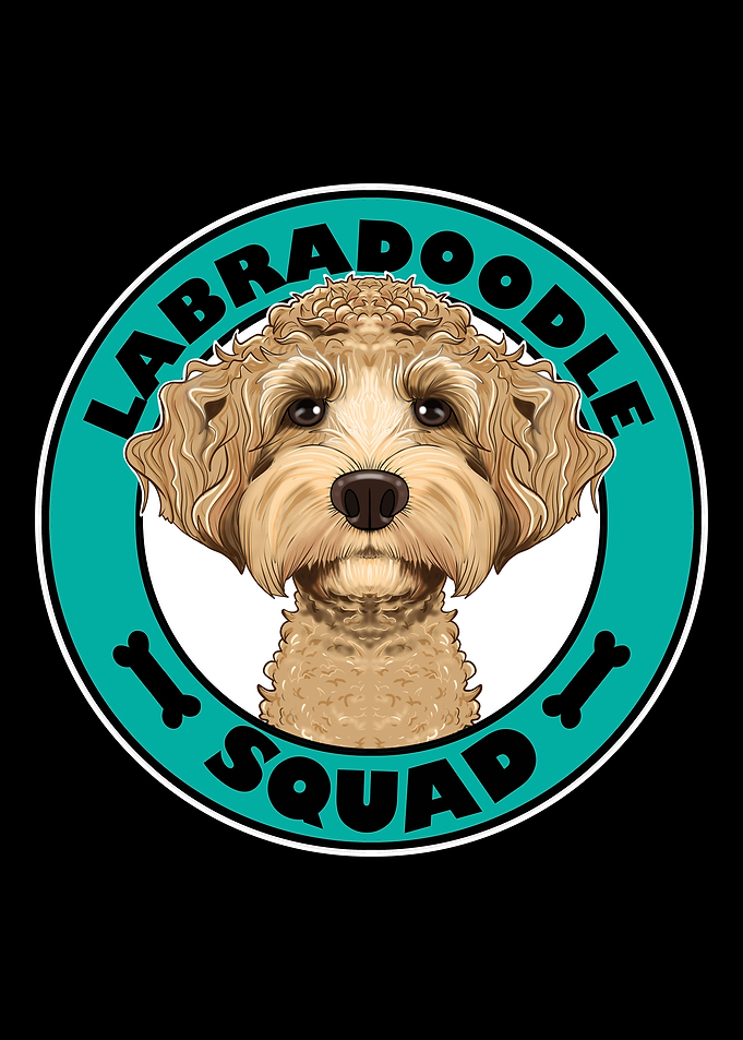 Labaradoodle Squad I Dog