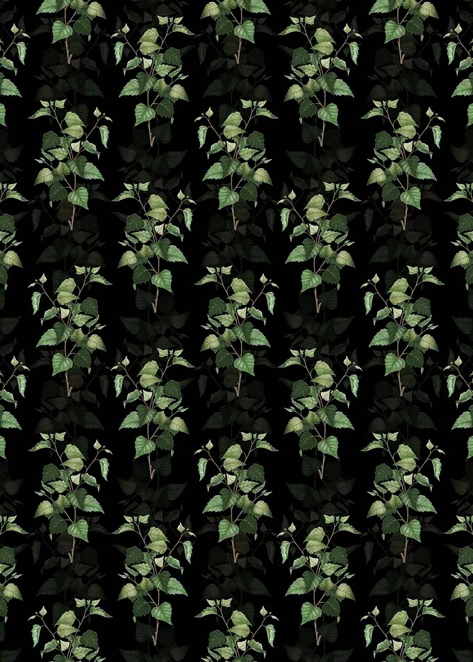 Black Silver Birch Pattern