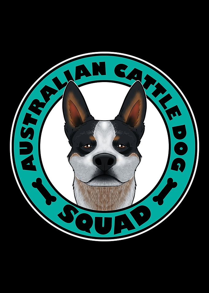 Australian Cattle Dog