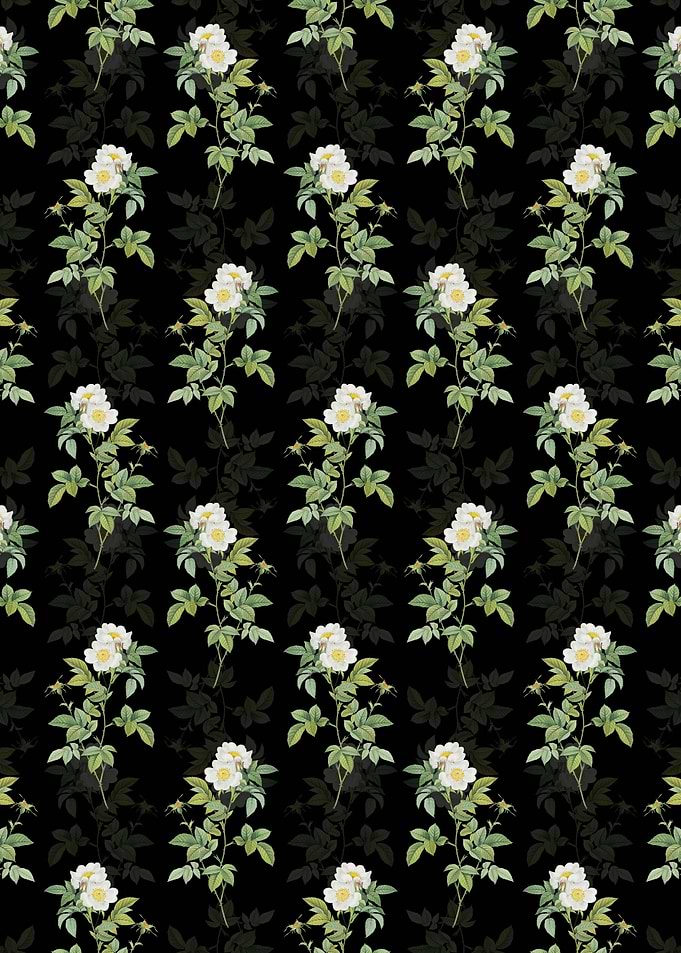 White Anjou Roses Pattern
