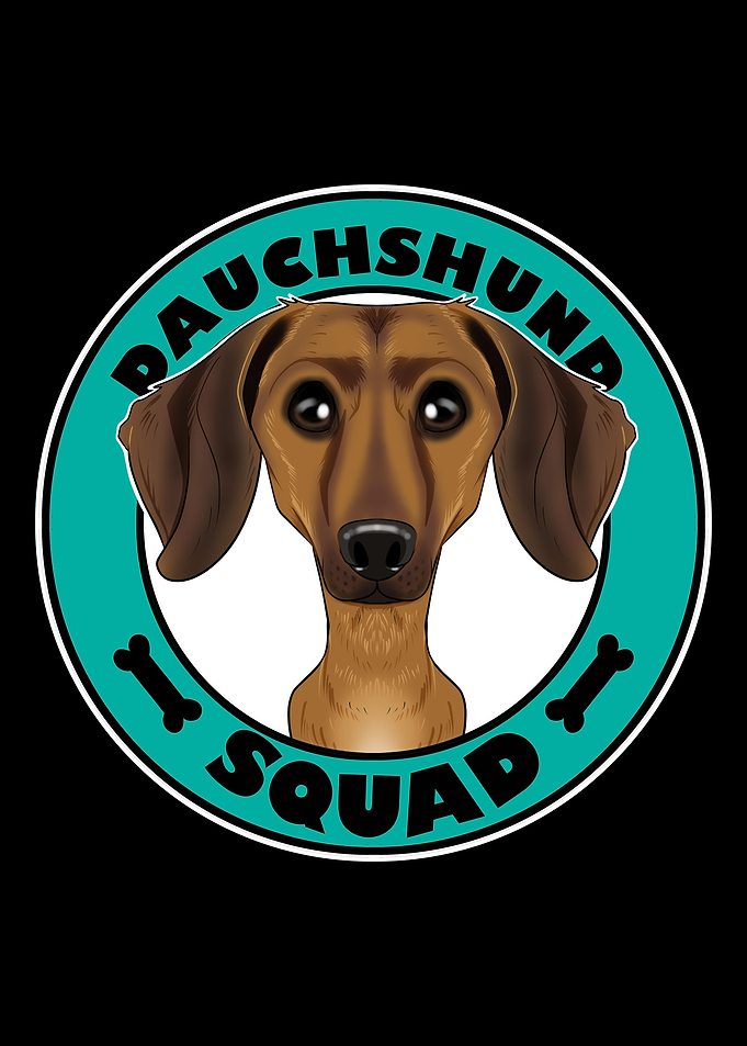 Dachshund Squad I Dog