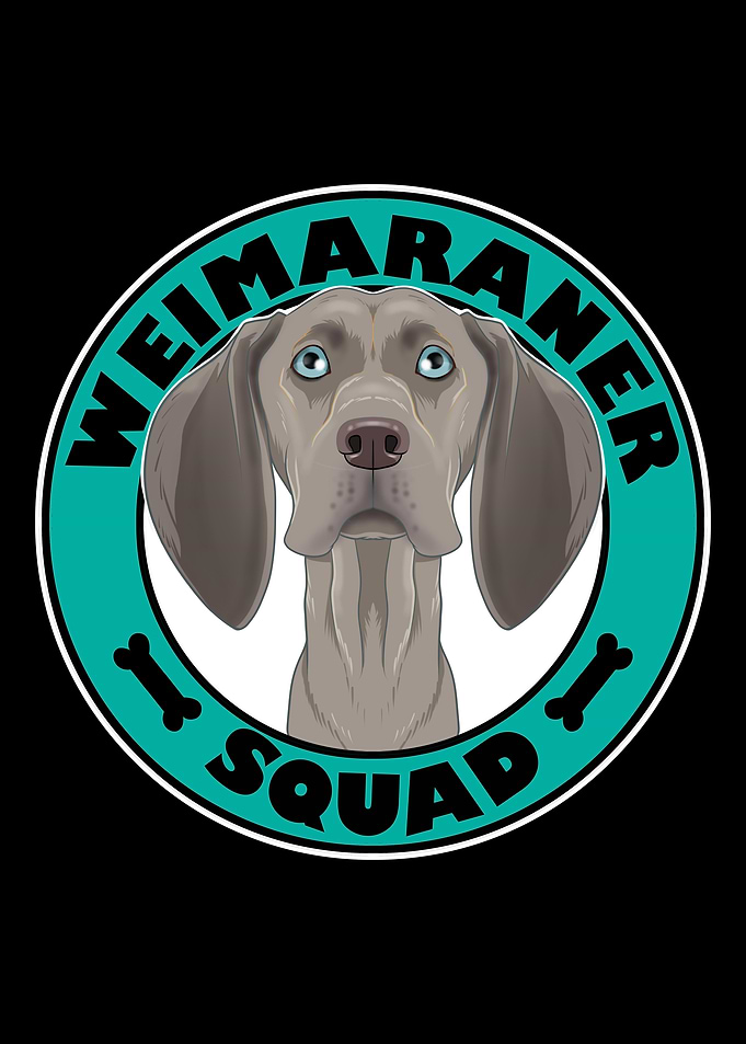 Weimaraner Squad I Dog