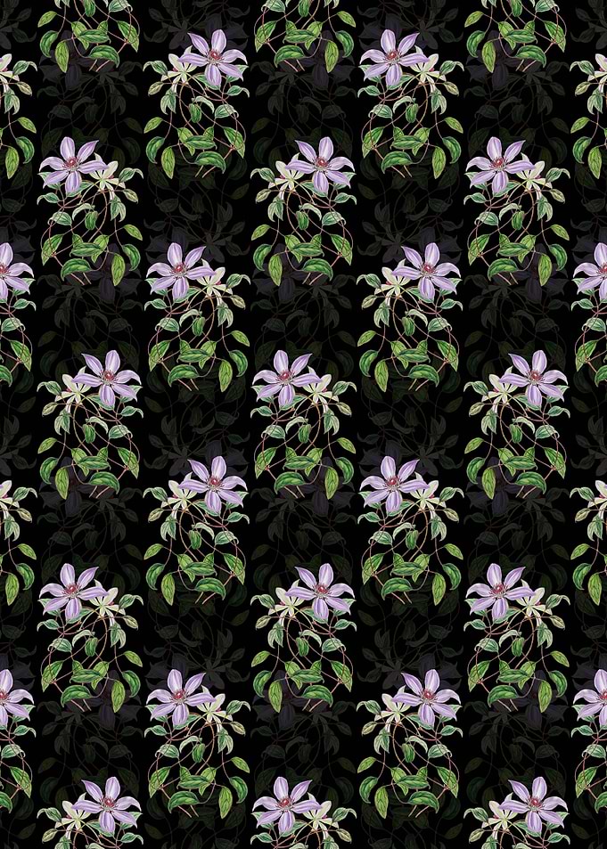 Violet Clematis Flower
