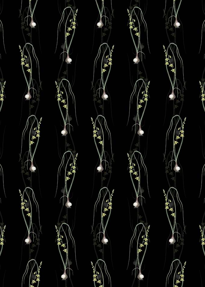 Floral Albuca Pattern