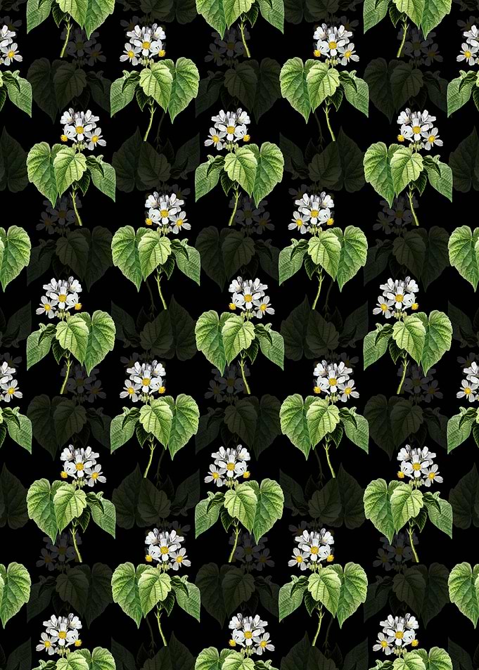 Black African Hemp Pattern