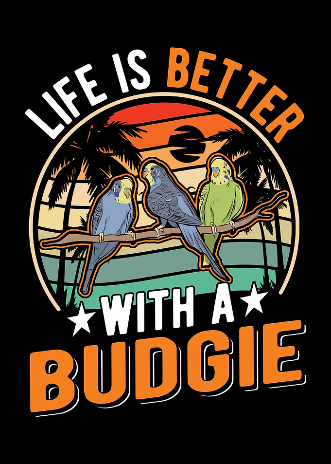 Budgie Gift Parakeet