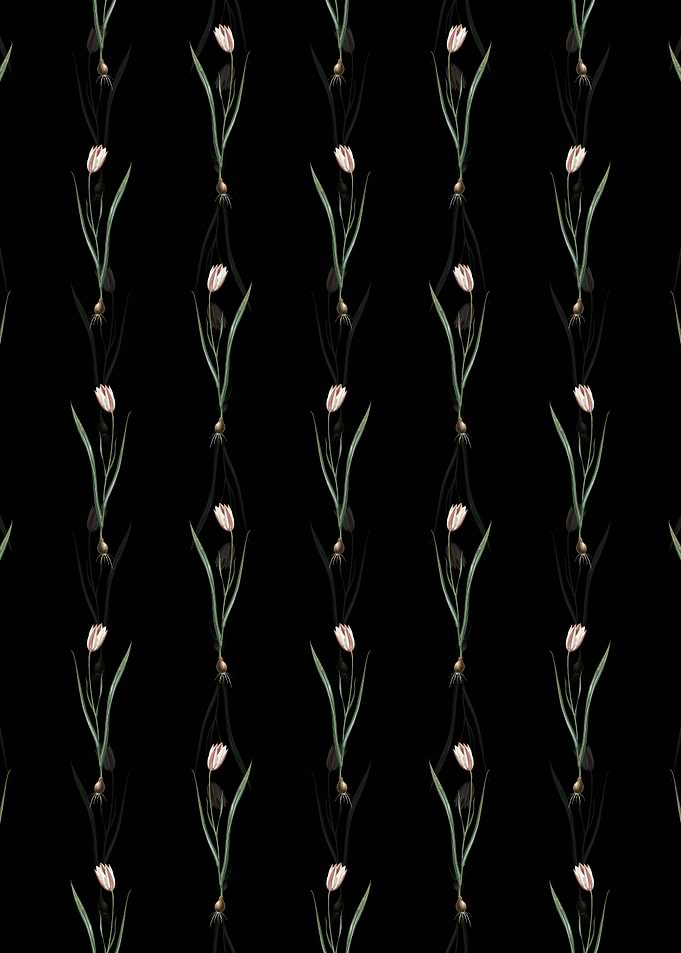 Floral Lady Tulip Pattern