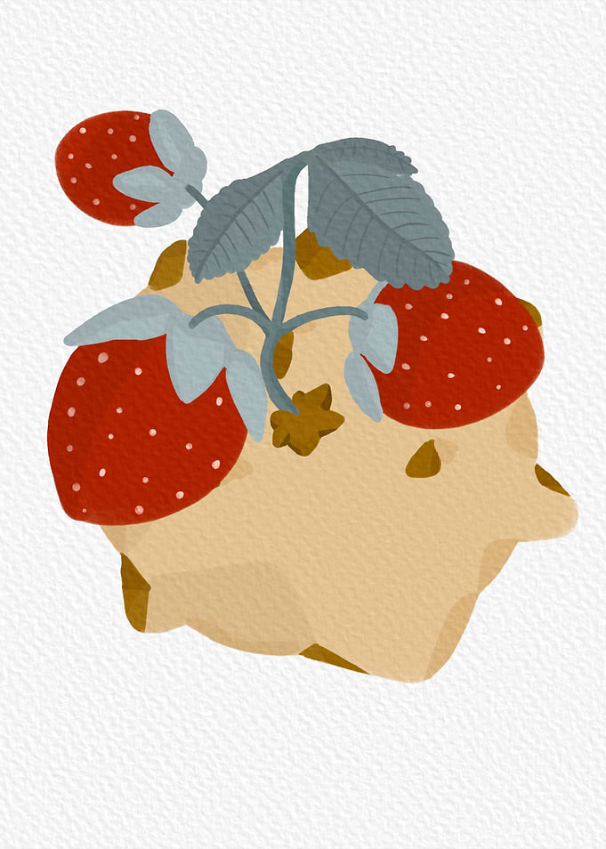 Strawberry Planet
