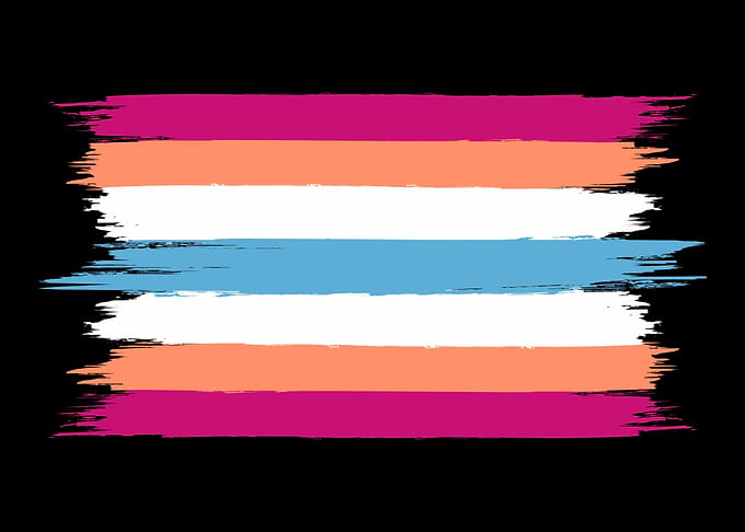 Tomgirl Flag