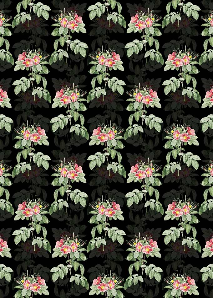 Black Pasture Rose Pattern