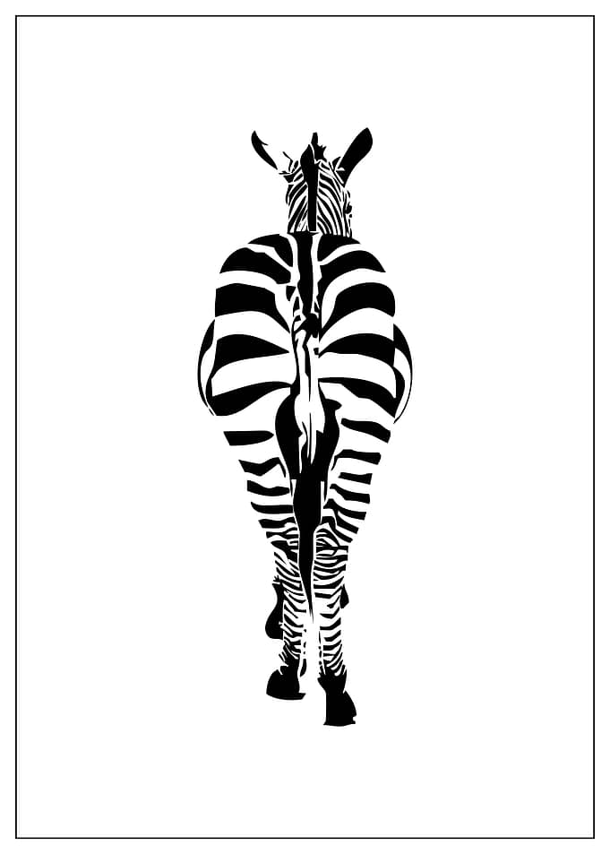 Zebra From Behind