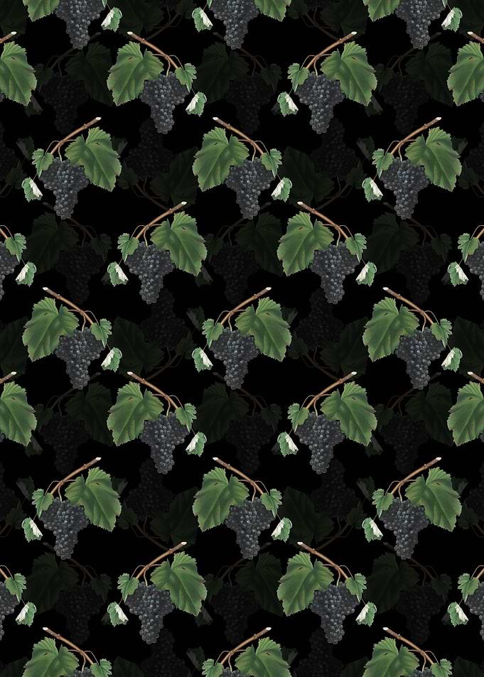 Black Canaiolo Pattern