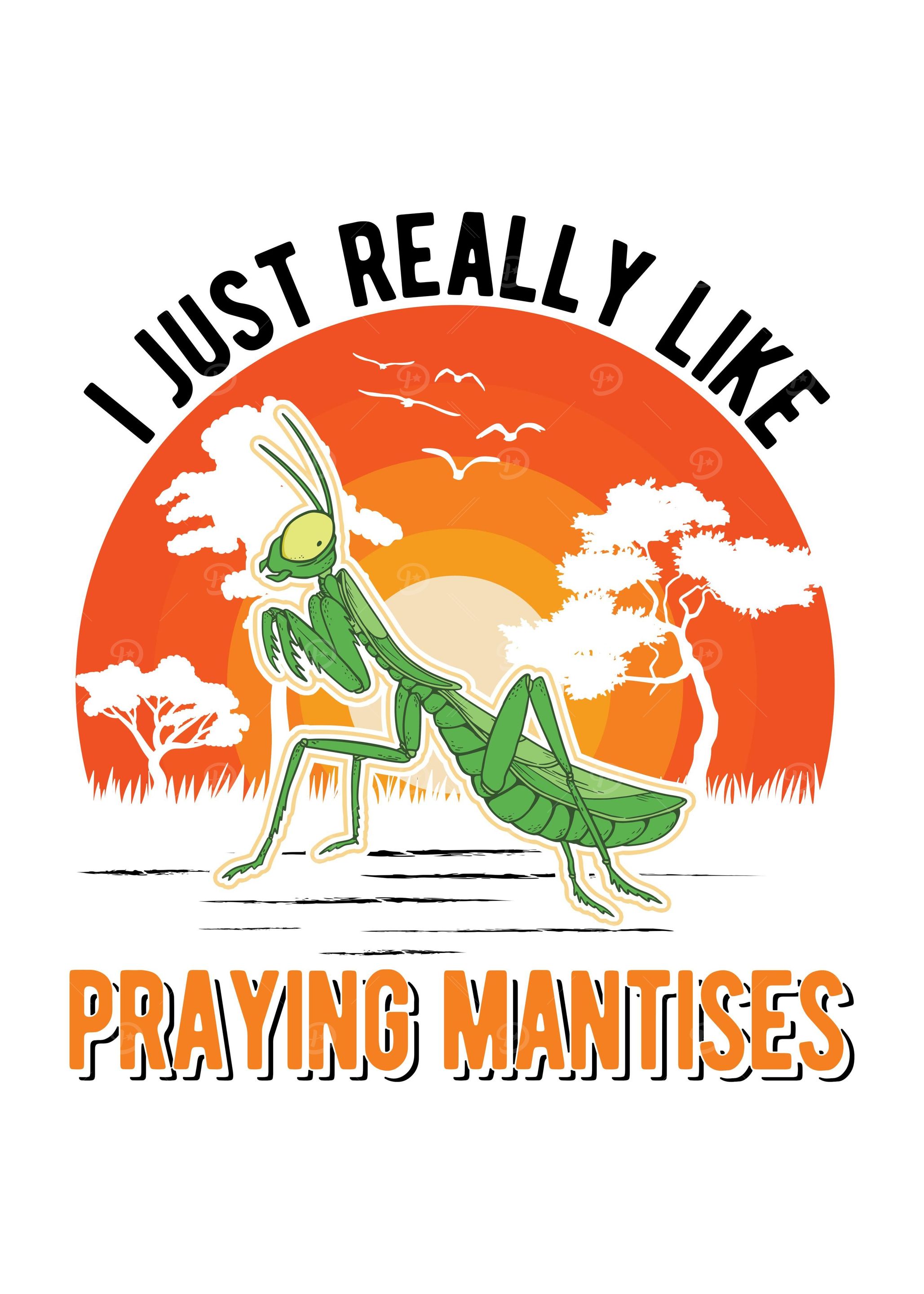 Praying Mantis