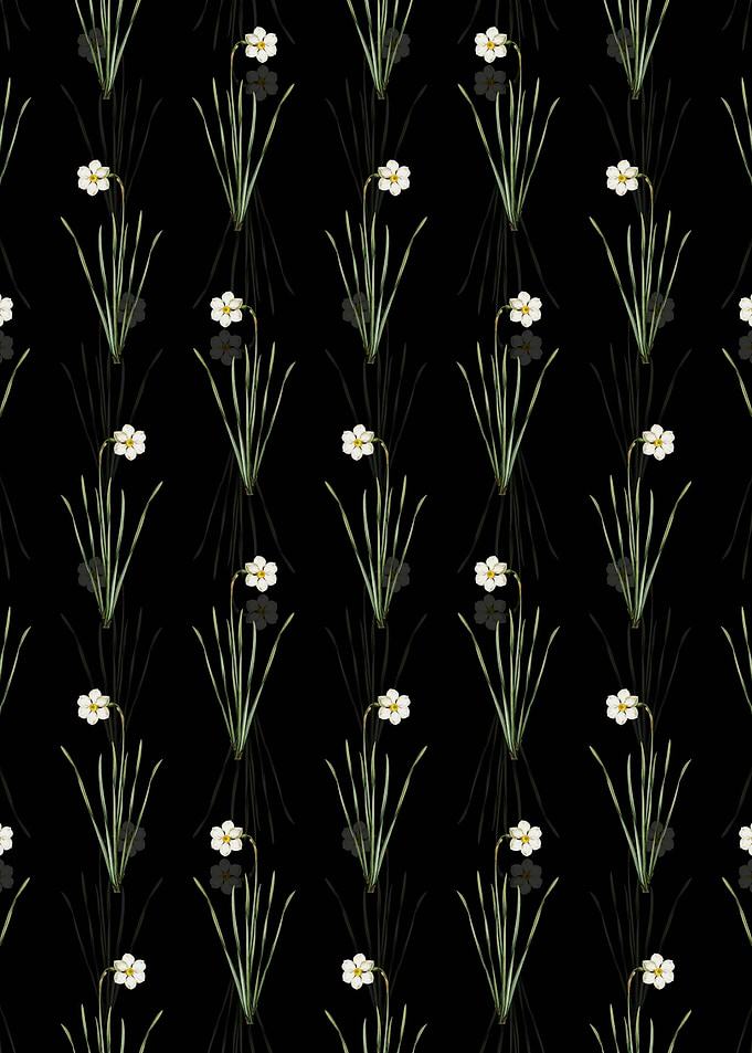 Narcissus Poeticus Pattern