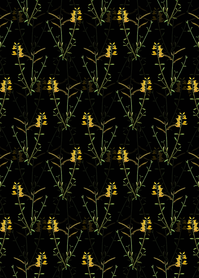 Spanish Broom Pattern