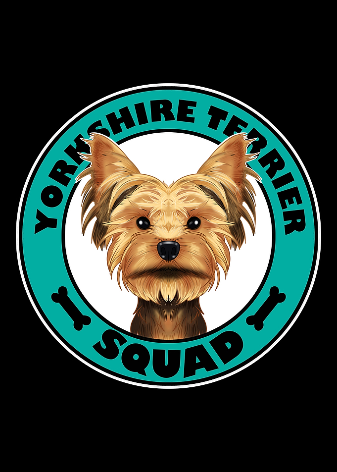 Yorkshire Terrier Squad I