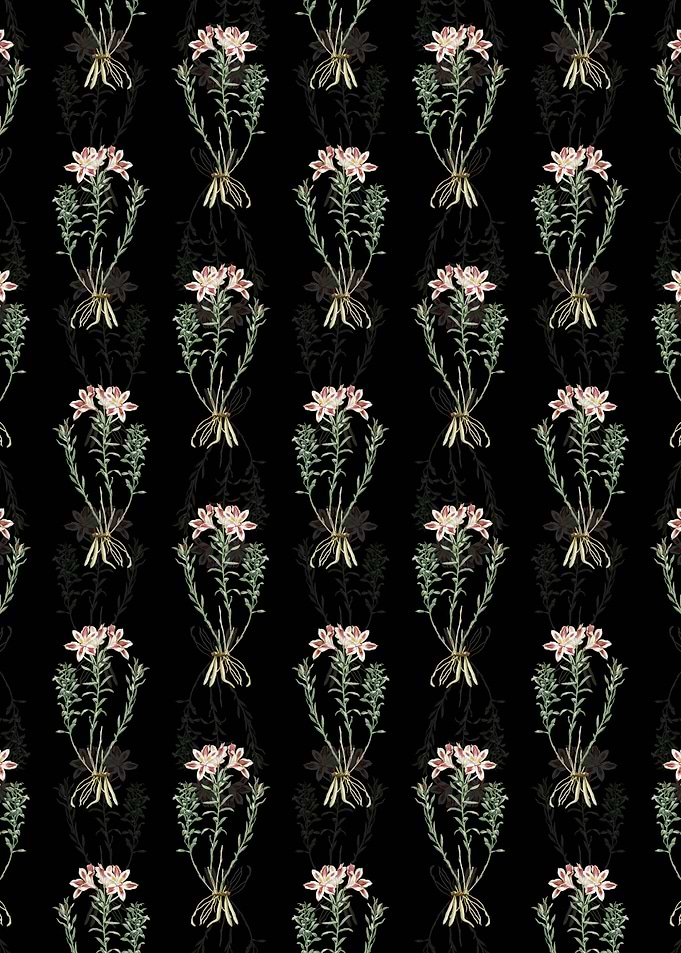 Lily of the Incas Pattern