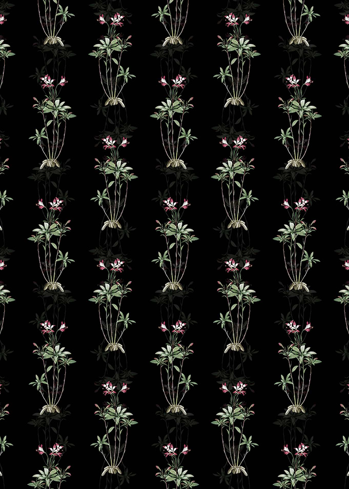 Lily of the Incas Pattern
