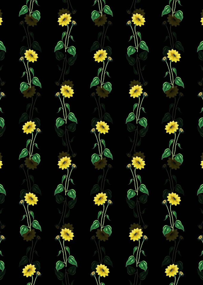 Trumpet Stalked Sunflower