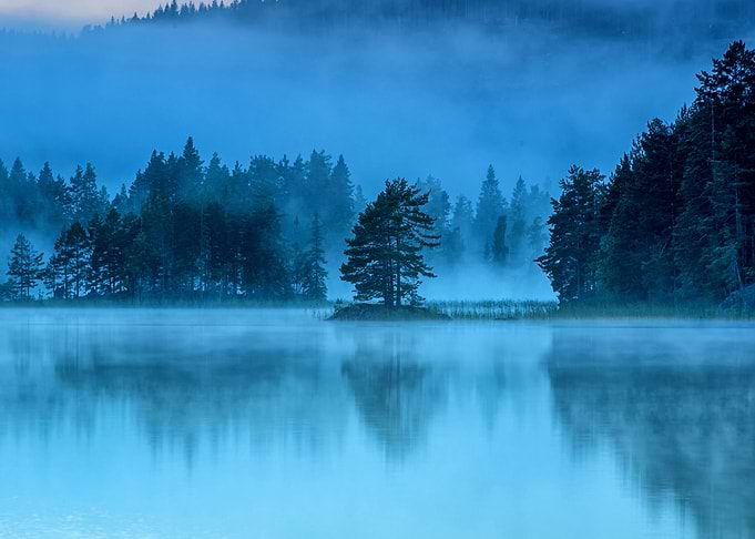 Mist on the lake