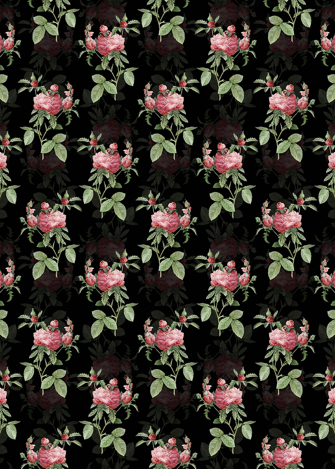Black Cabbage Rose Pattern