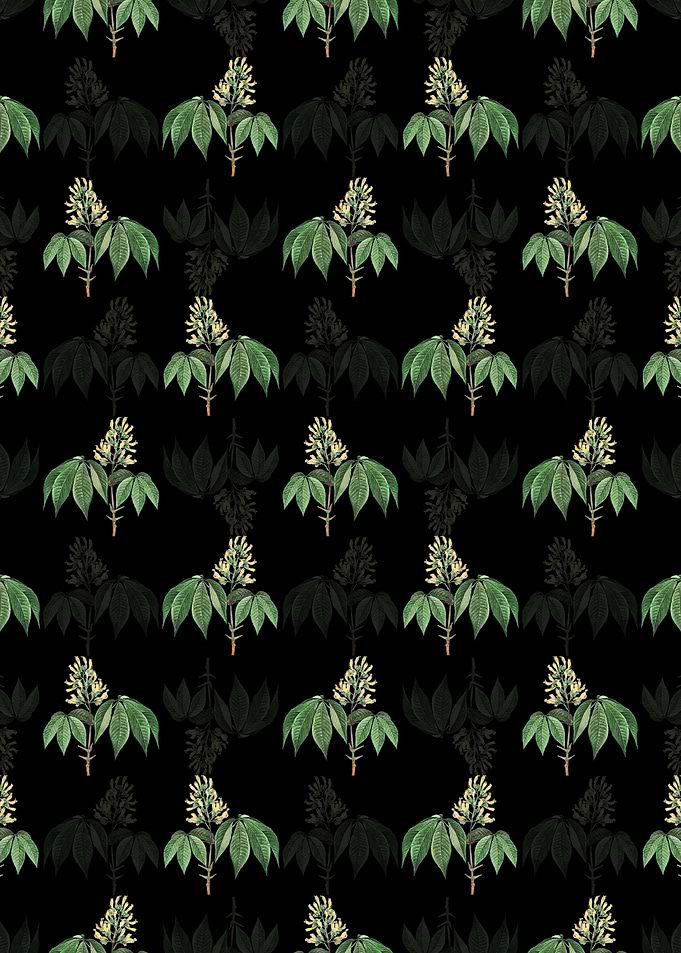 Yellow Buckeye Pattern