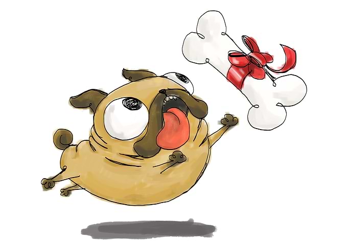 Pug need IT